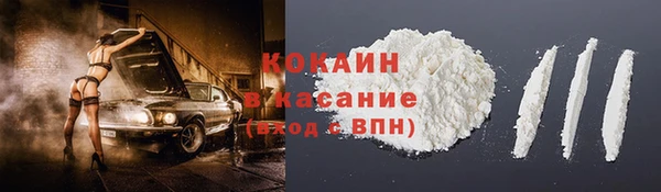 стаф Богородицк