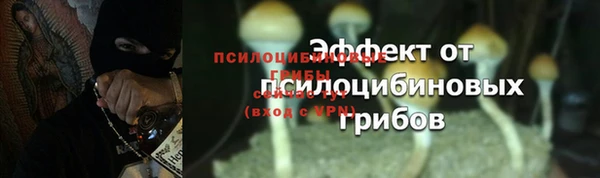 не бодяженный Туринск